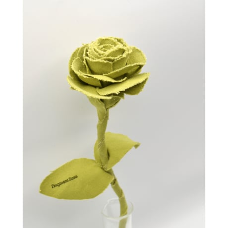 Fragment Rose - Olive Yellow  -｜ Remake by VERS