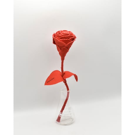Fragment Rose - Scarlet Red -｜ Remake by VERS