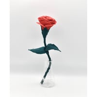 Fragment Rose - Scarlet Garden - / TYPE B ｜ Remake by VERS