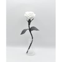 Fragment Rose - White Shadow -｜ Remake by VERS