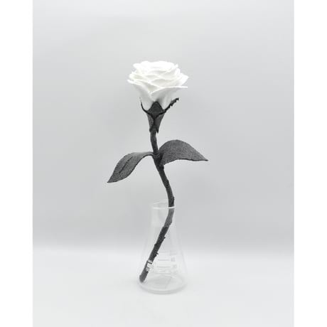Fragment Rose - White Shadow -｜ Remake by VERS