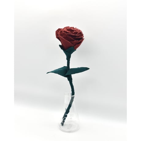 Fragment Rose - Crimson Garden - ｜ Remake by VERS