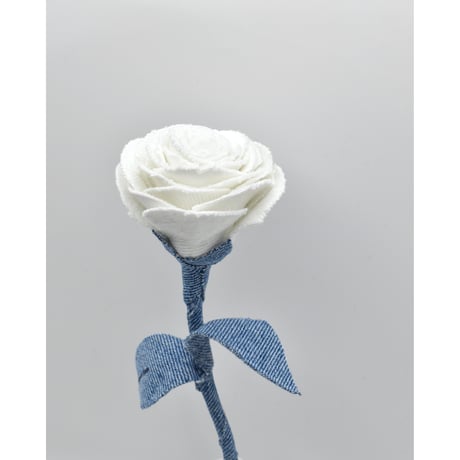 Fragment Rose - White Breeze -｜ Remake by VERS