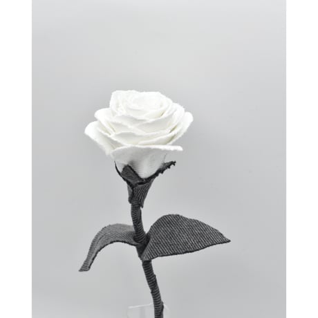 Fragment Rose - White Shadow -｜ Remake by VERS