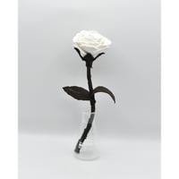 Fragment Rose - Moon Shadow -｜ Remake by VERS
