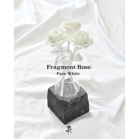 Fragment Rose - Pure White -｜ Remake by VERS