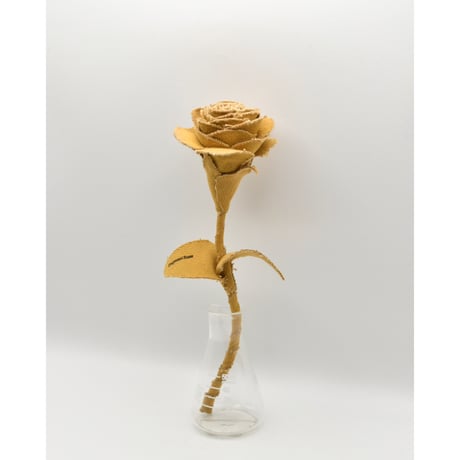 Fragment Rose - Amber Orange -｜ Remake by VERS