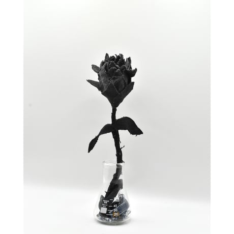 Fragment Rose - Black -｜ Remake by VERS
