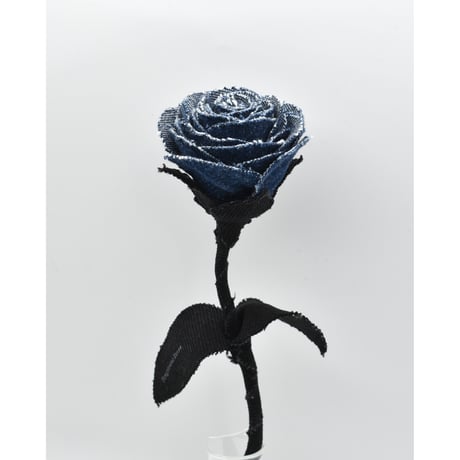 Fragment Rose - Blue Nocturne -｜ Remake by VERS