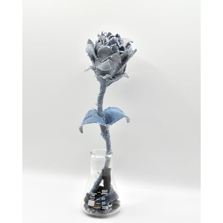 Fragment Rose - Light Blue  -｜ Remake by VERS