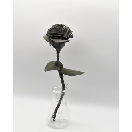 Fragment Rose - French Military -｜ Remake by VERS