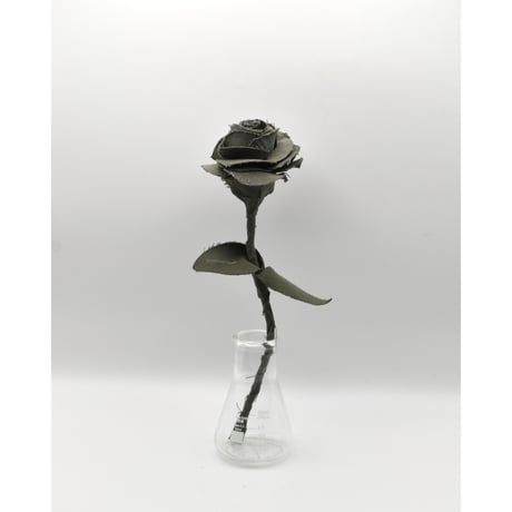 Fragment Rose - French Military -｜ Remake by VERS