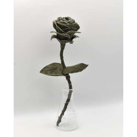 Fragment Rose - Olive Drab - ｜ Remake by VERS