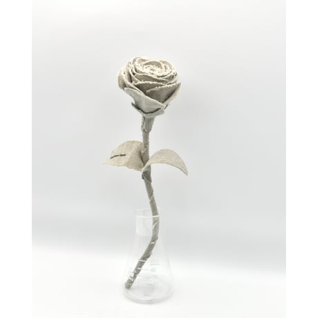 Fragment Rose - Natural Ivory -｜ Remake by VERS