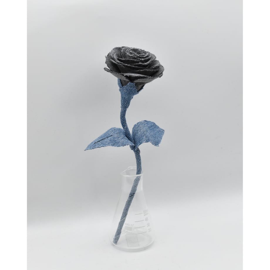 6a3e22381d175c12beb4483c