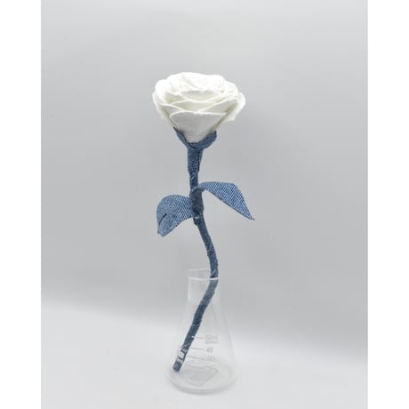 Fragment Rose - White Breeze -｜ Remake by VERS