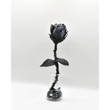 Fragment Rose - Black × Blue -｜ Remake by VERS