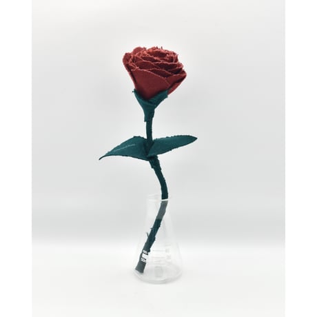 Fragment Rose - Crimson Garden - ｜ Remake by VERS