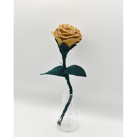 Fragment Rose - Amber Garden -｜ Remake by VERS