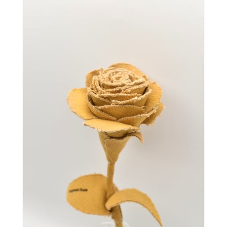 Fragment Rose - Amber Orange -｜ Remake by VERS