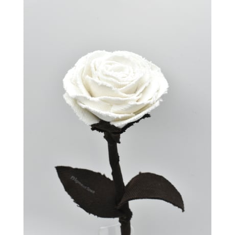 Fragment Rose - Moon Shadow -｜ Remake by VERS