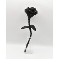Fragment Rose - Black -｜ Remake by VERS