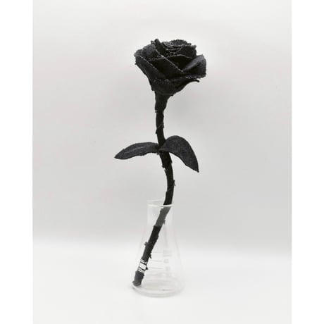 Fragment Rose - Black -｜ Remake by VERS