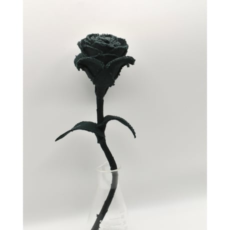 Fragment Rose - Deep Forest Green - ｜ Remake by VERS