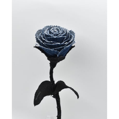 Fragment Rose - Blue Nocturne -｜ Remake by VERS