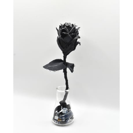 Fragment Rose - Black -｜ Remake by VERS
