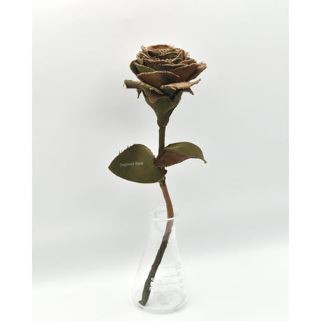 Fragment Rose - Hungarian Hurricane Camo -｜ Remake by VERS