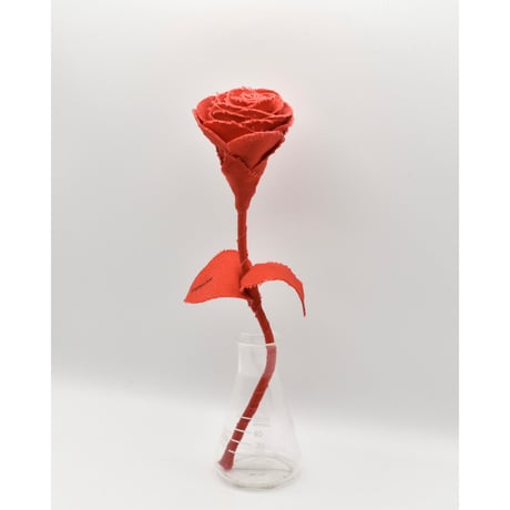 Fragment Rose - Scarlet Red -｜ Remake by VERS