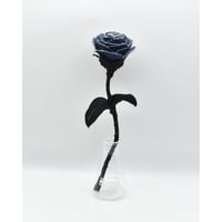 Fragment Rose - Blue Nocturne -｜ Remake by VERS