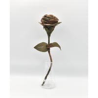 Fragment Rose - Hungarian Hurricane Camo - / TYPE B ｜ Remake by VERS