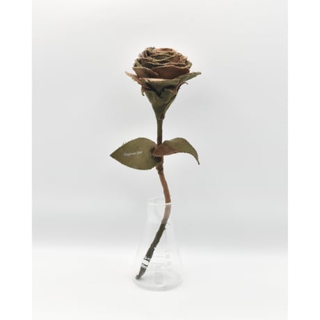 Fragment Rose - Hungarian Hurricane Camo -｜ Remake by VERS