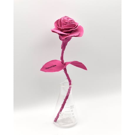 Fragment Rose - Shocking Pink -｜ Remake by VERS