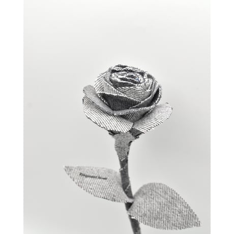 Fragment Rose - Fade Black - ｜ Remake by VERS
