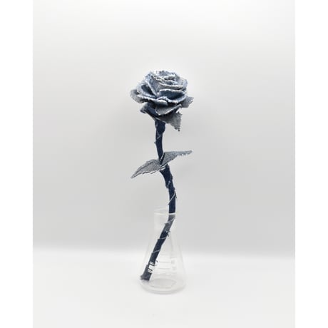 Fragment Rose - Dark × Light Blue -｜ Remake by VERS