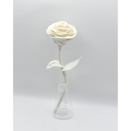 Fragment Rose - Ecru Blanc -｜ Remake by VERS