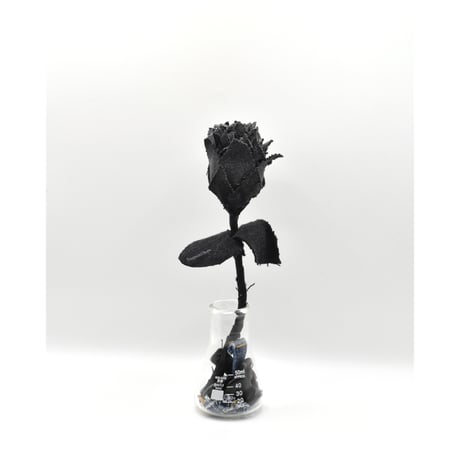 Fragment Rose - Black -｜ Remake by VERS