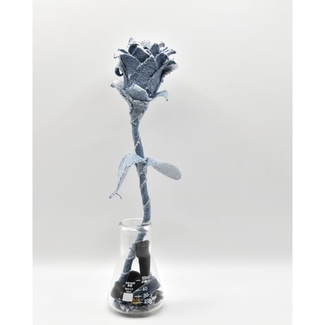 Fragment Rose - Light Blue  -｜ Remake by VERS