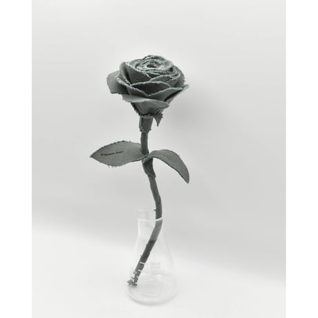 Fragment Rose - Dusty Green - ｜ Remake by VERS