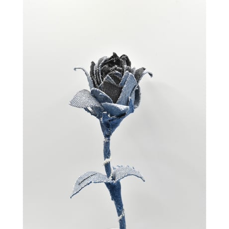 Fragment Rose – Dark Blue × Black – ｜ Remake by VERS