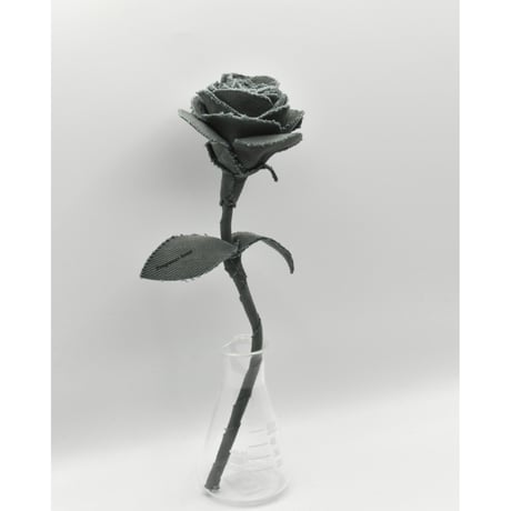 Fragment Rose - Dusty Green - ｜ Remake by VERS