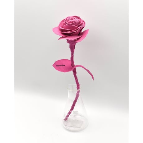 Fragment Rose - Shocking Pink -｜ Remake by VERS