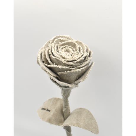 Fragment Rose - Natural Ivory -｜ Remake by VERS