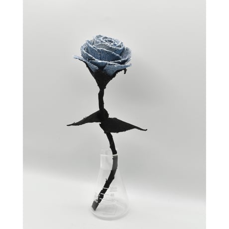 Fragment Rose - Sky Garden -｜ Remake by VERS