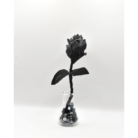 Fragment Rose - Black -｜ Remake by VERS