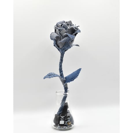 Fragment Rose - Indigo Contrast - ｜ Remake by VERS