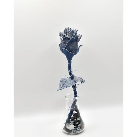 Fragment Rose - Deep Indigo  -｜ Remake by VERS